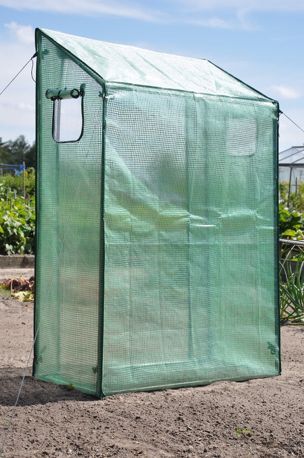 Slim Kweken - Roma Tomato