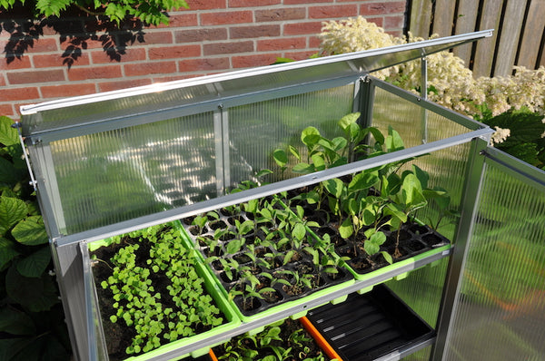 Royal Well - Growstation