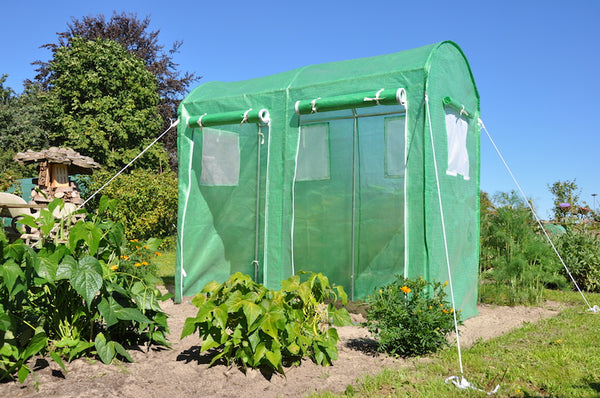 Slim Kweken - Maxi Tomato Galva