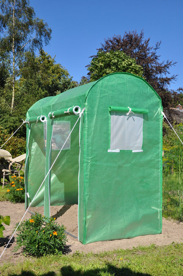 Slim Kweken - Maxi Tomato Galva