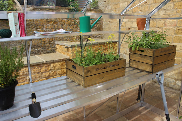 Eden - Burford 86 blank