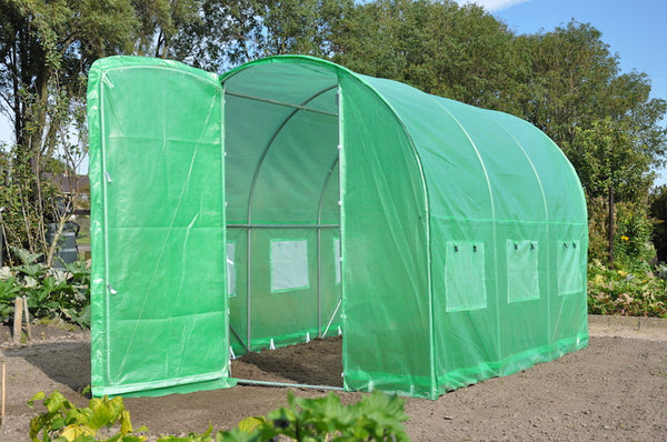 Slim Kweken - Silver Rocket D6