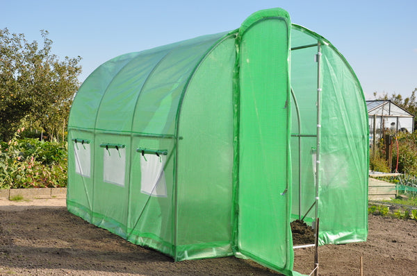 Slim Kweken - Silver Rocket D6