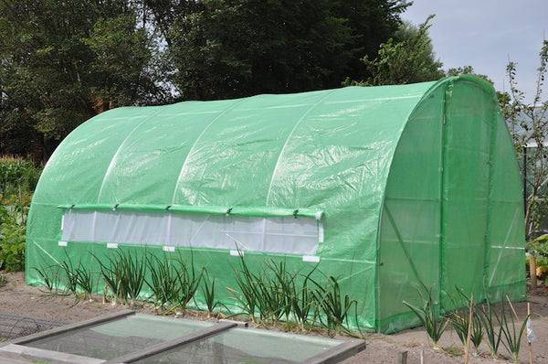 Slim Kweken - Silver Rocket D12