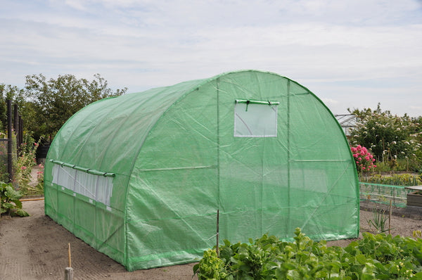 Slim Kweken - Silver Rocket D12