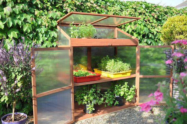 Roy Well - Sweet Basil