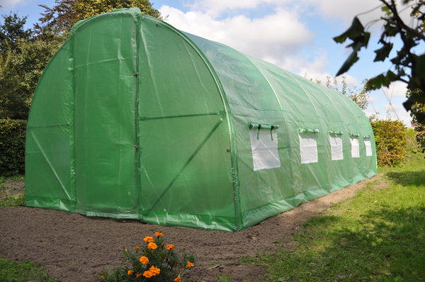 Slim Kweken - Silver Rocket D18