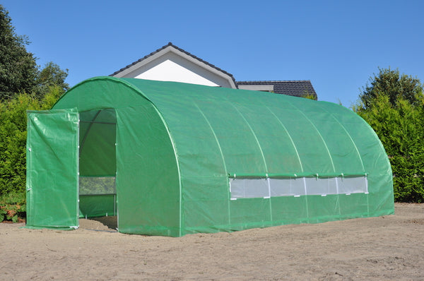 Slim Kweken - Silver Rocket D24