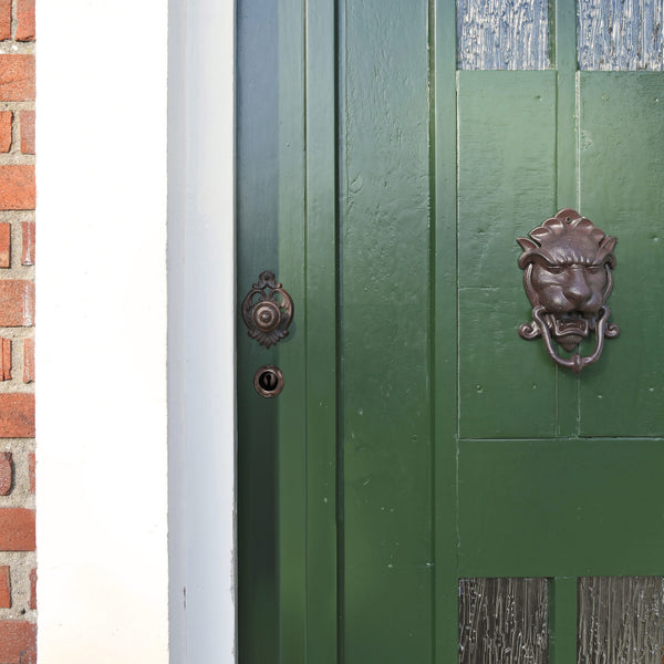 Door knocker lion head