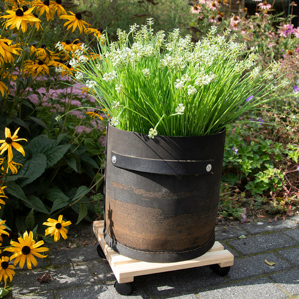 Plantentrolley vierkant