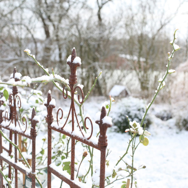 Plantensteun Franse lelie S