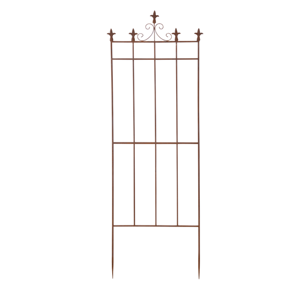 Plantensteun Franse lelie L