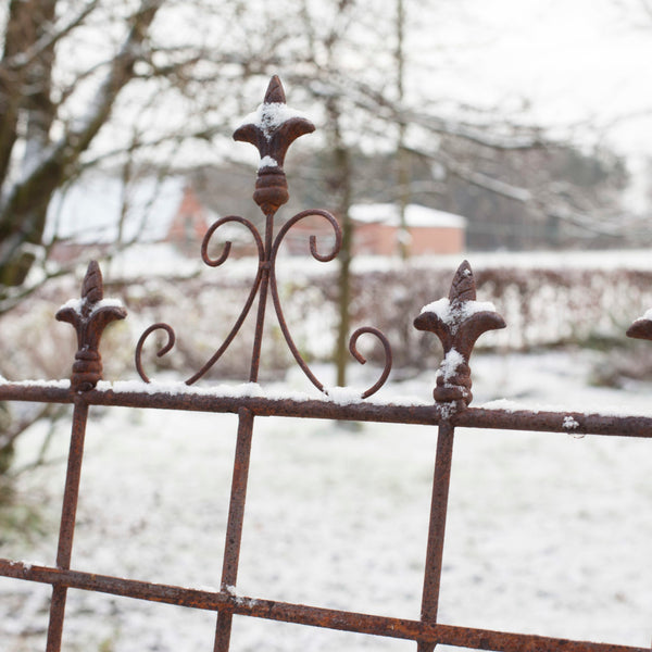 Plantensteun Franse lelie L