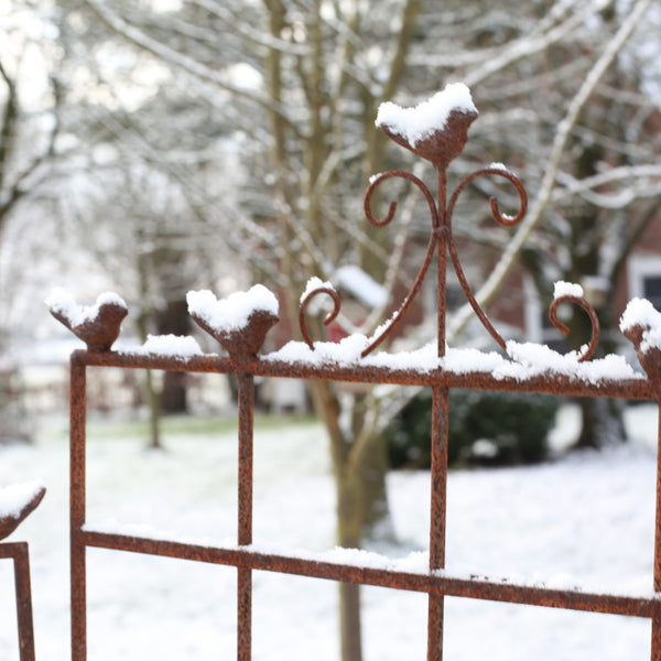 Plantensteun vogel L