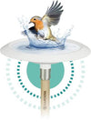 ClickUp! BirdBath