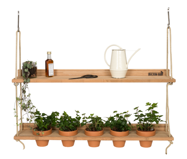 Hanging Garden Bamboo