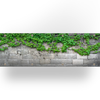 Balcony cloth - Ivy wall - 300x90cm - single-sided