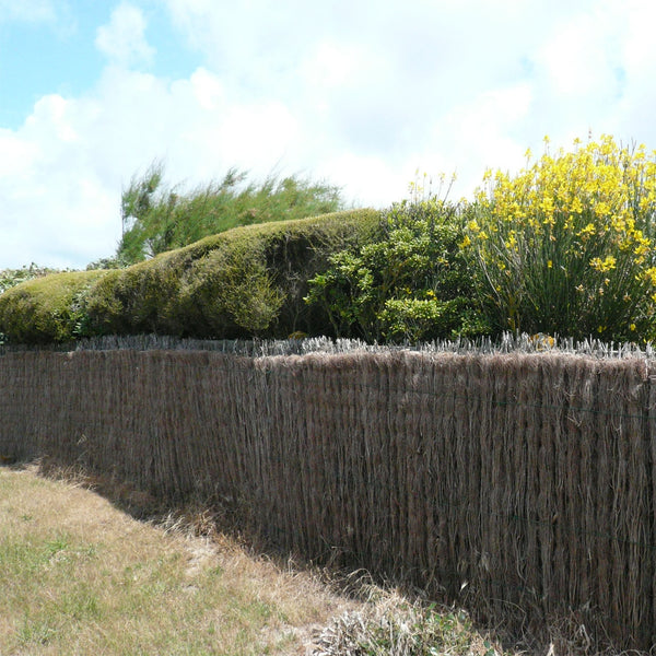 Balkonscherm heide wortelmat 300x90cm