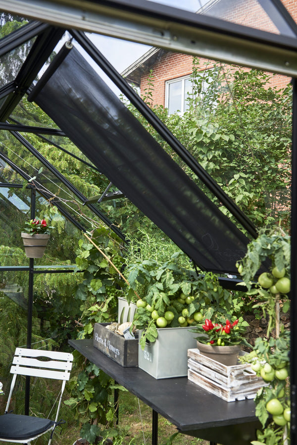 Rolscherm / Roll-up 59 x 190 cm – 2 x