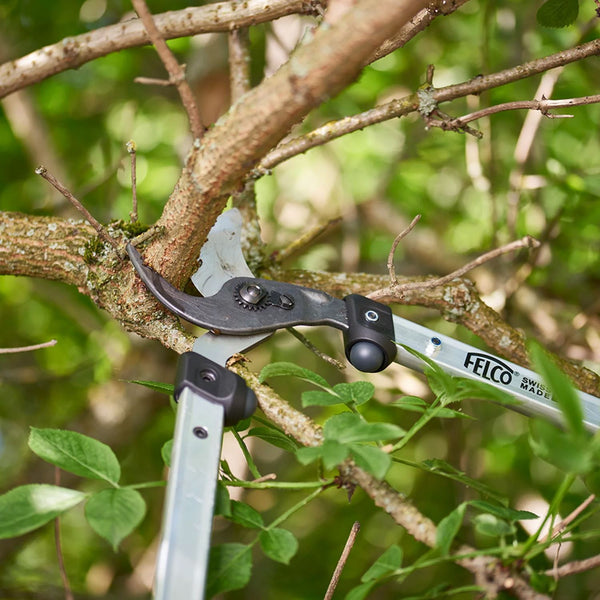 Felco takkenschaar 211 60 cm 2