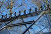 Victoriaanse nok Birdlip 44, zwart