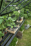 Kweektafel Birdlip 48, geintegreerd, zwart