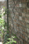 Set plantspiralen zwart