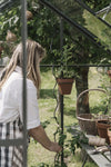 Set plantspiralen zwart