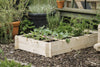 Kweekbak Crispy Lettuce grenen onbehandeld 20x120x80cm