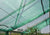 RW30-screen x 300 cm