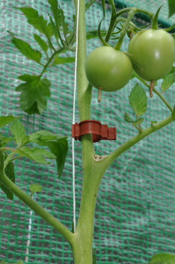 Tomatenclips – set 20