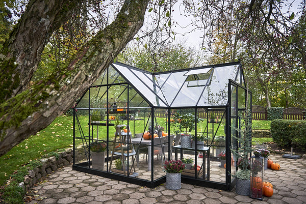 Tuinkamer Garden Room 12,9 zwart 3 mm veiligheidsglas