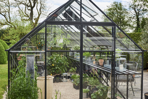 Tuinkas Qube 816 zwart 3 mm veiligheidsglas