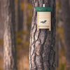 Fledermauskasten mit Gründach