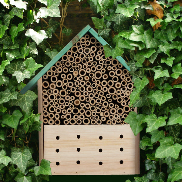Insektenhotel blau