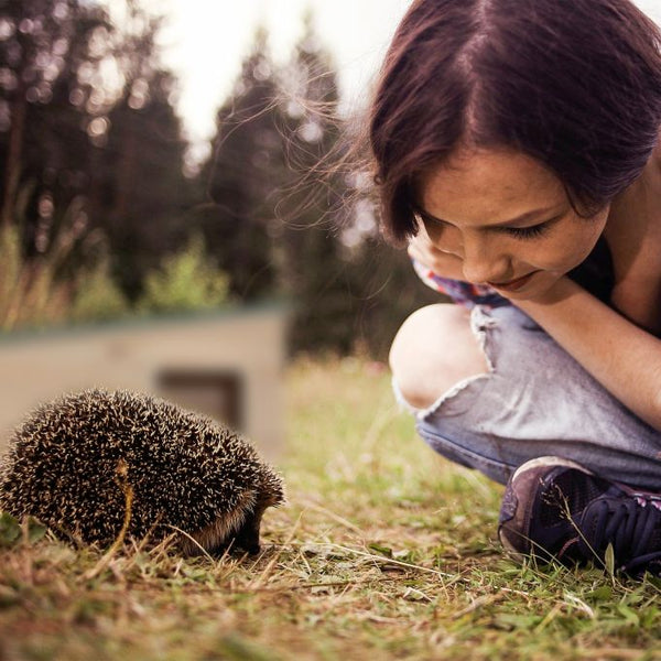 Egelhuisje met afneembaar dak