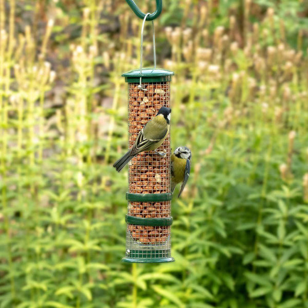 Vogelschutz - Premium Erdnüsse