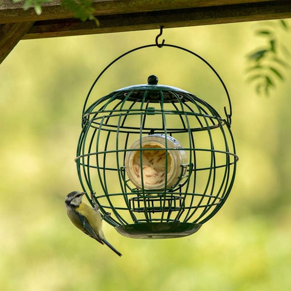 Support pour pot de beurre de cacahuète avec cage de protection contre les corneilles et les écureuils – Londres | CJ Wildlife