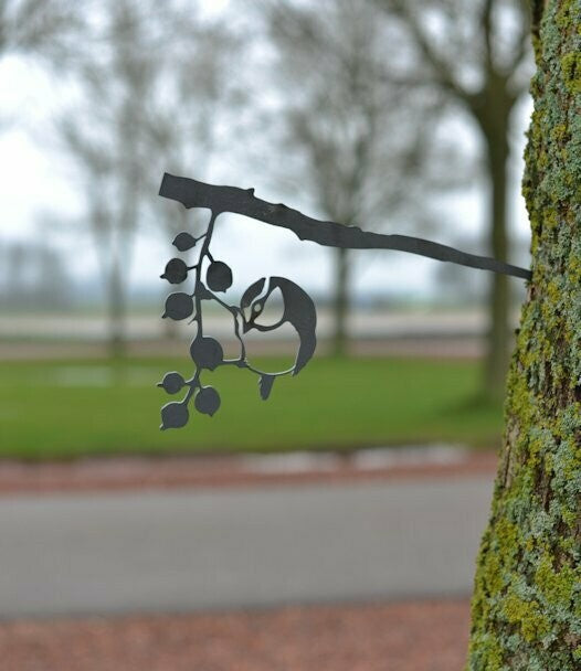 Birdwise - Kohlmeise hängend