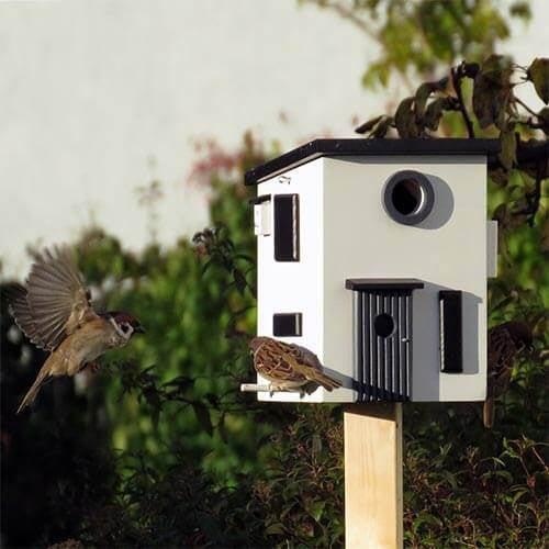 Multiholk Funkis – Design Vogelhuis & Voederhuis (FSC Hout)