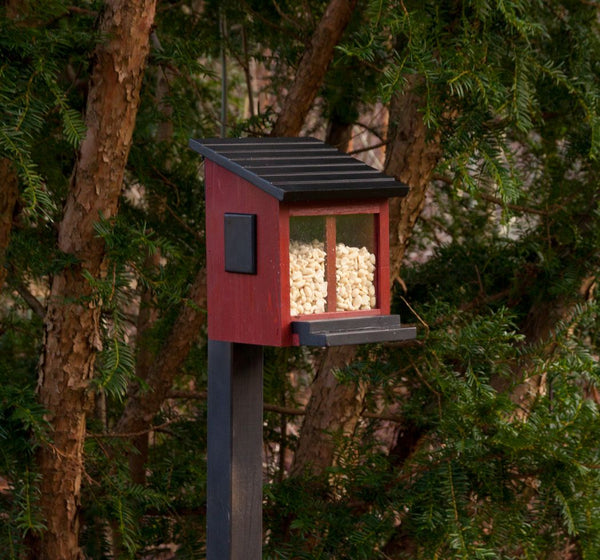 Ekorrmatare Eichhörnchenbox