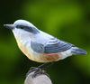 DecoBird - Baumläufer