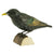 DecoBird - Starling