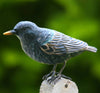 DecoBird - Starling