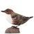 DecoBird - Dipper