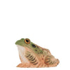 DecoAnimal Frog large wood carving