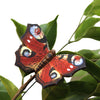 DecoButterfly - Peacock Butterfly