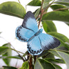 DecoButterfly - Stechpalmenblau