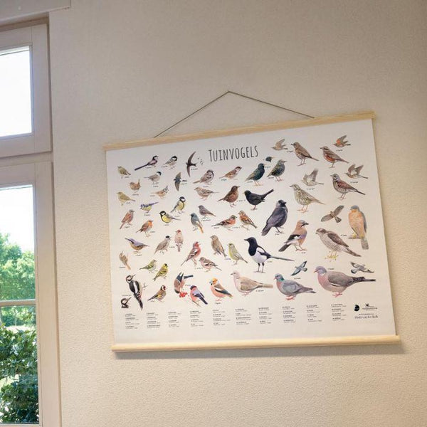Wandkarte Gartenvögel
