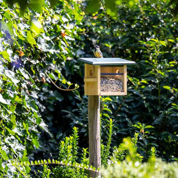 Mangeoire murale Tilburg – Mangeoire compacte pour petits oiseaux de jardin